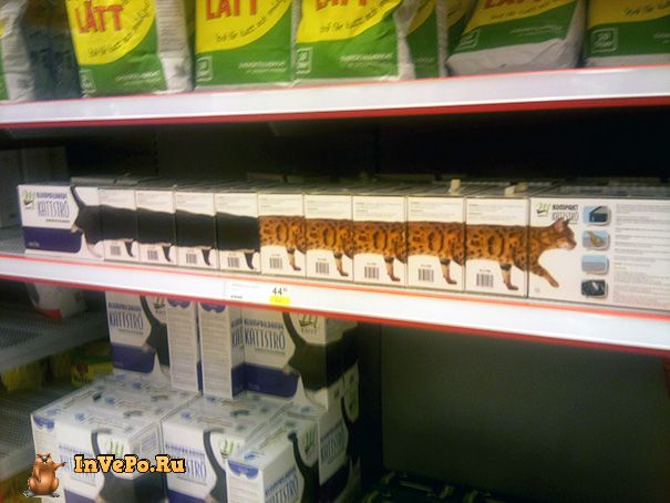 creative-guerrilla-advertising-in-store-ads-44-574ed62bb5f11__605
