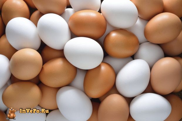 А ты знаешь разницу между белыми и коричневыми куриными яйцами?