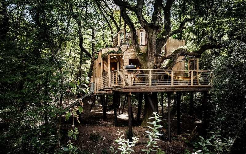«Cамострой»: Игровой домик на дереве не так прост как кажется (14 фото)